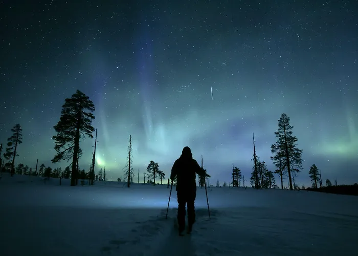 Lapland Hotels Bear'S Lodge