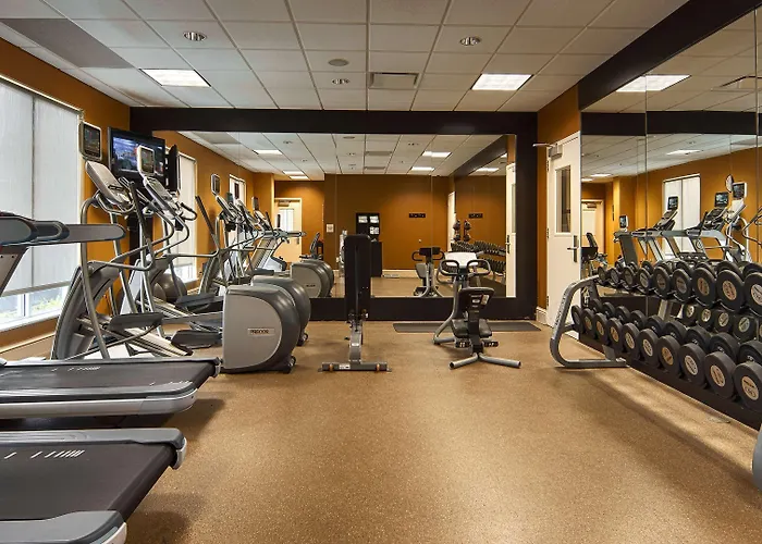 Hilton Garden Inn Houston/Galleria Area