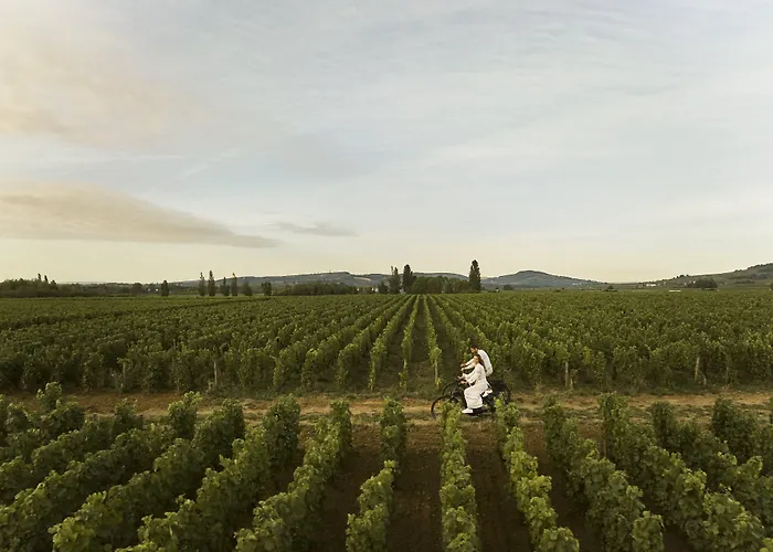 Como Le Montrachet