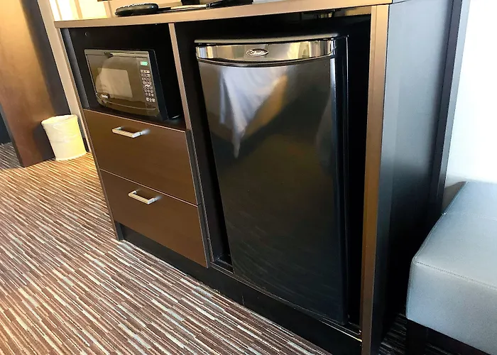 Holiday Inn St. Paul Downtown By Ihg
