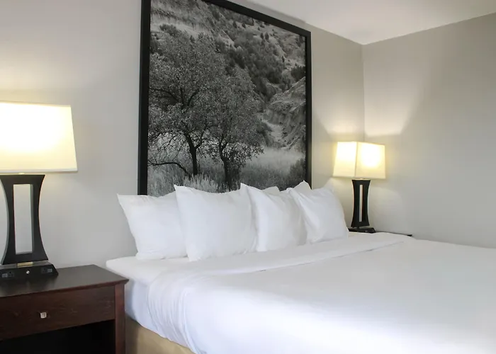 Super 8 By Wyndham Williston Nd