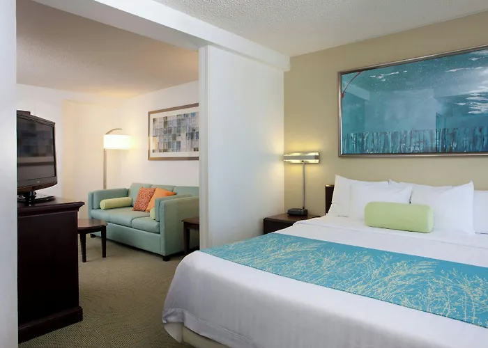 Springhill Suites Los Angeles Lax/Manhattan Beach