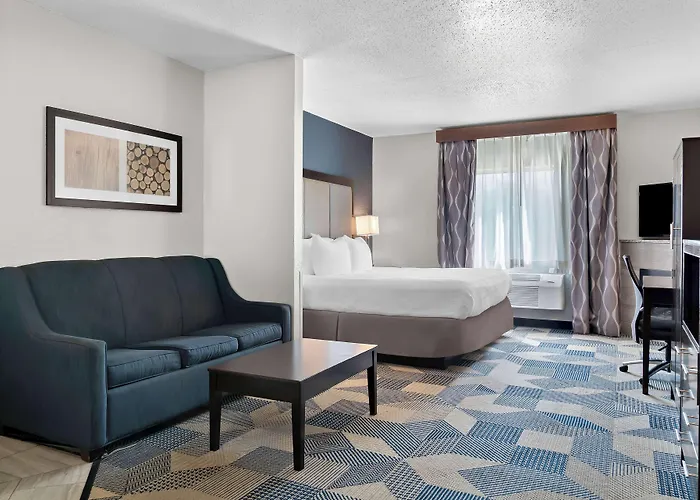 Best Western Plus Flint Airport Inn & Suites