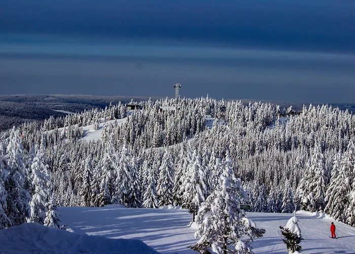 Elite Hotel Brage - Hotel & Spa