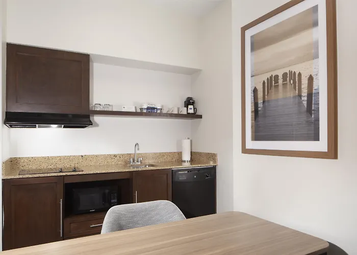 Hampton Inn & Suites Tampa-North