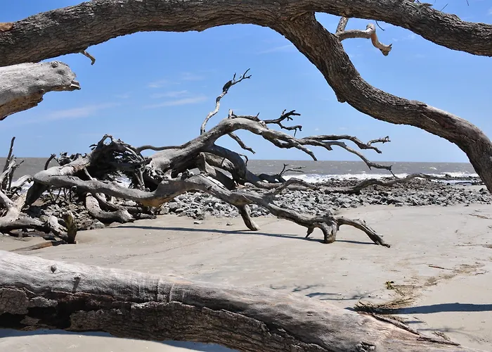 Days Inn & Suites By Wyndham Jekyll Island
