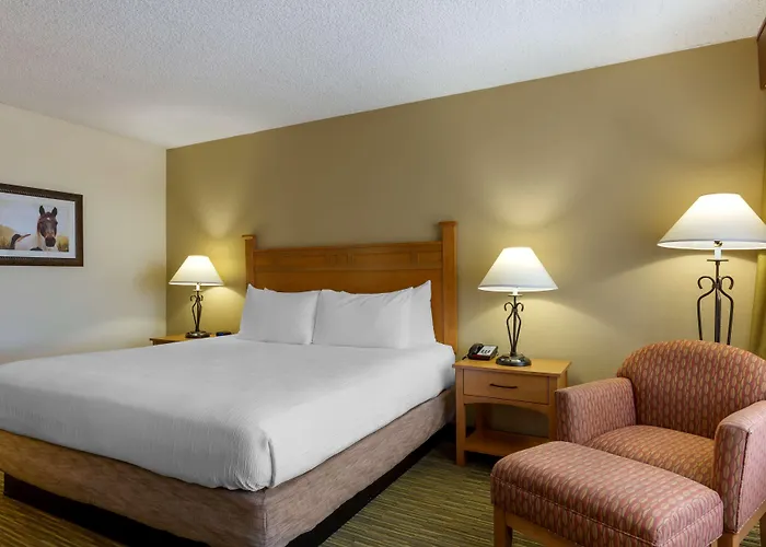 Best Western Paint Pony Lodge
