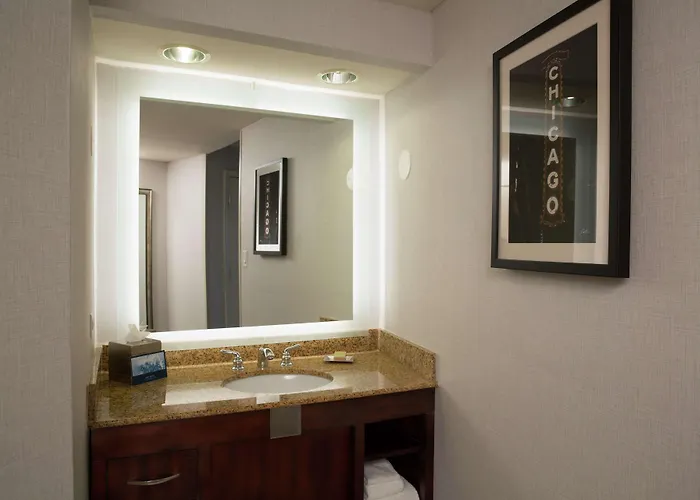Hilton Chicago/Oak Lawn
