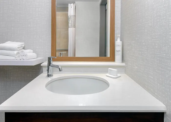 Hampton Inn Buffalo-Airport Galleria Mall