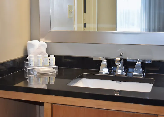 Hyatt Regency Lisle Near Naperville