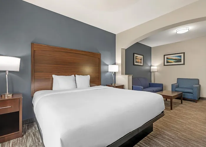 Best Western Plus Lake Dallas Inn & Suites