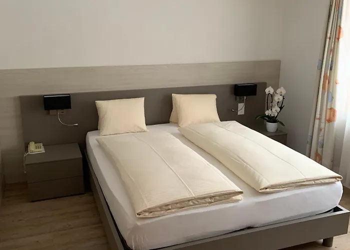 Hotel Steinbock