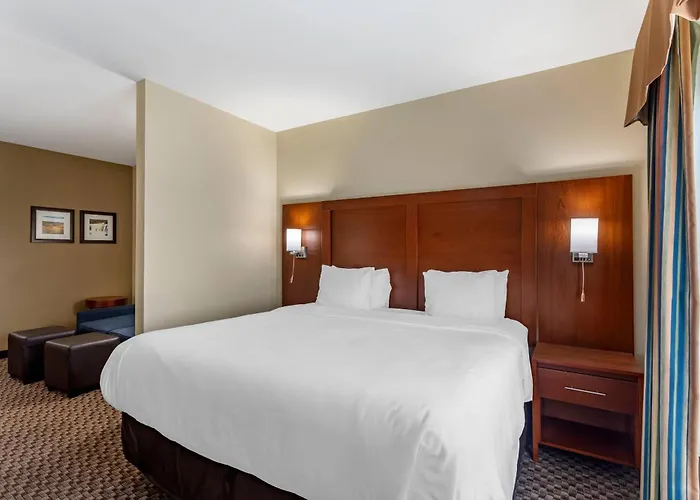 Comfort Inn & Suites Carbondale University Area