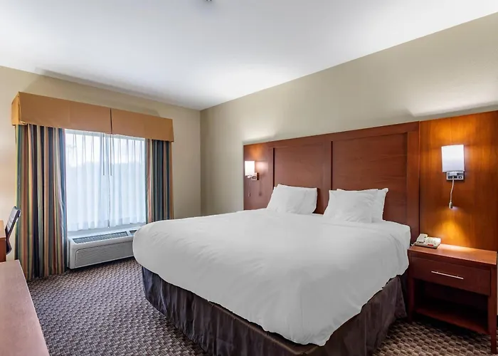 Comfort Inn & Suites Carbondale University Area