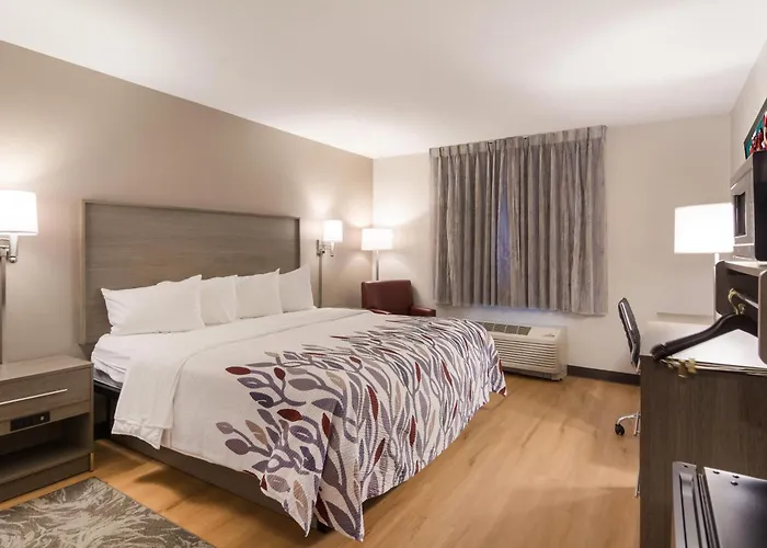 Red Roof Inn Port Charlotte - Punta Gorda