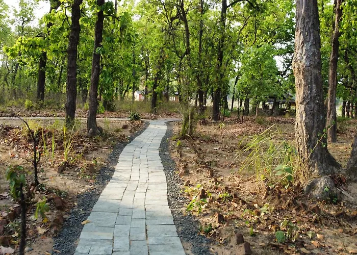 Atulya Kanchi Camp Bandhavgarh
