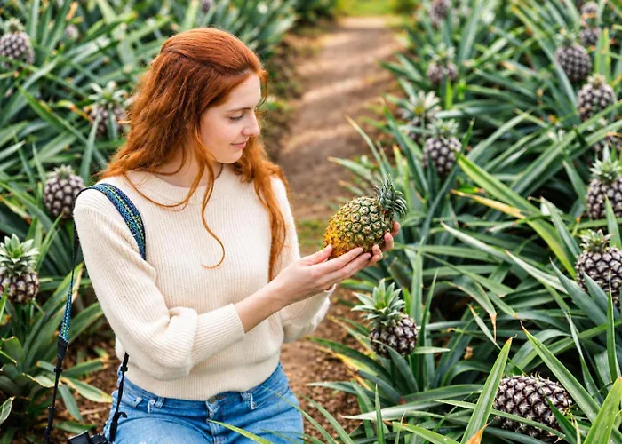 Herdade Do Ananas