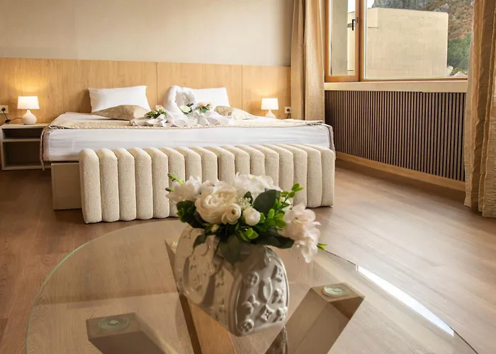 Hemus Hotel - Vratza