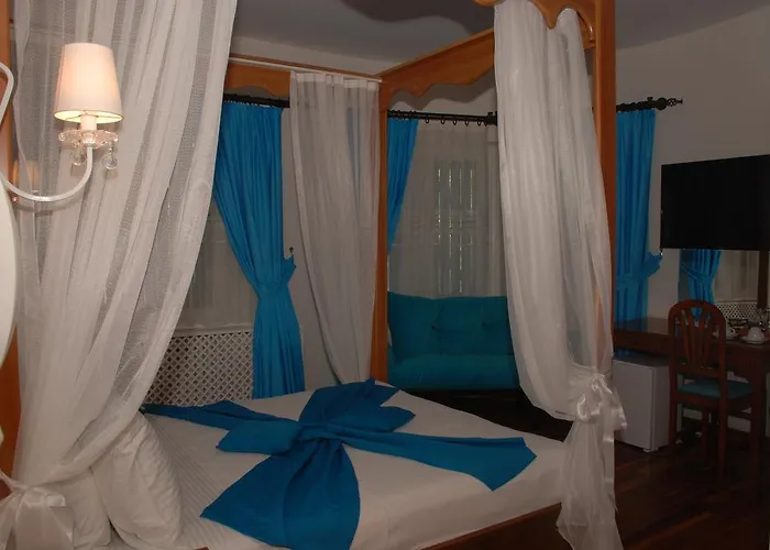 Mavi Inci Park Otel