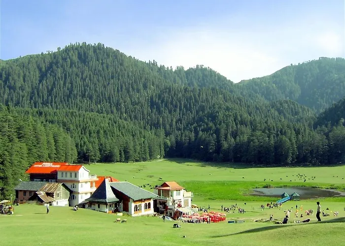 Cozy Swiss Meadows