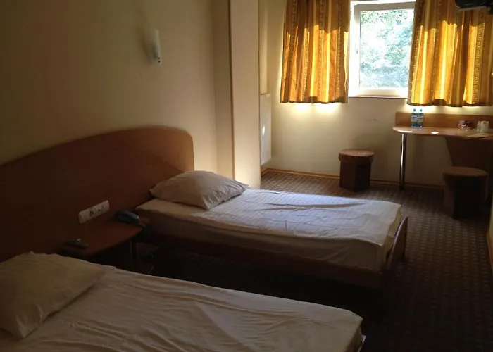 Tsentralniy Hotel