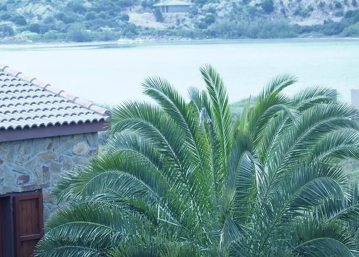 Il Gabbiano