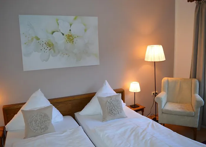Hotel Alte Muehle