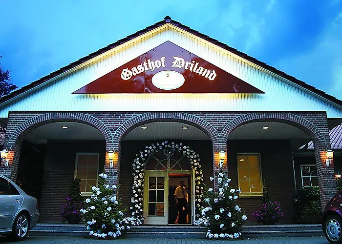 Hotel Driland