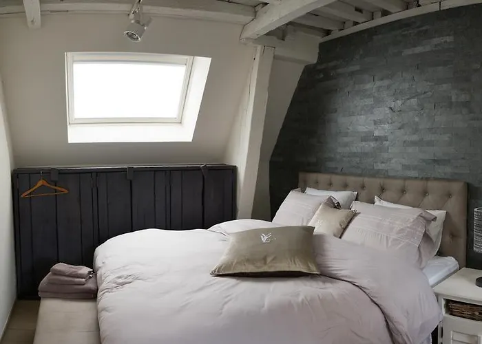 Y & L Villa Antwerp