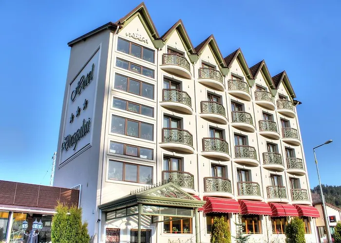 Hotel Dragului