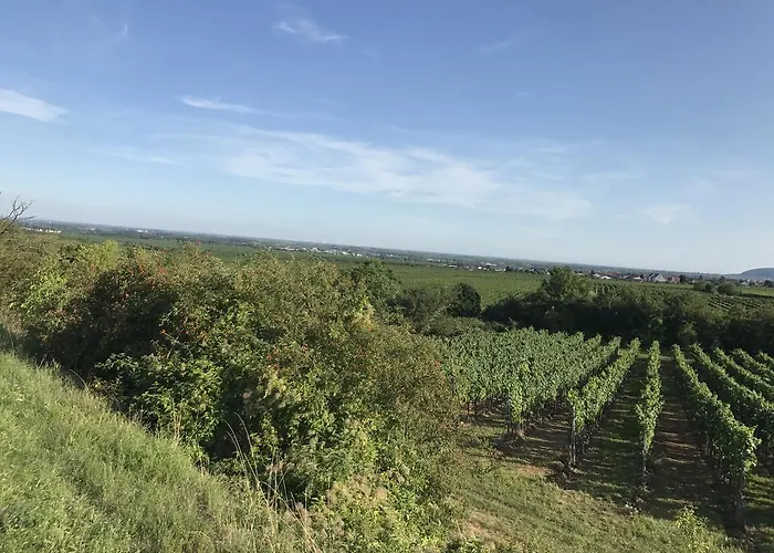 Landhotel Kallstadt