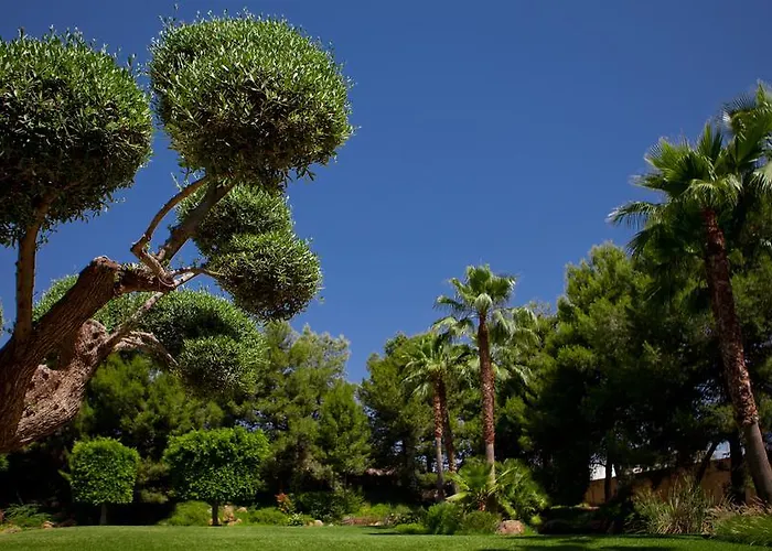 Jardines De Amaltea