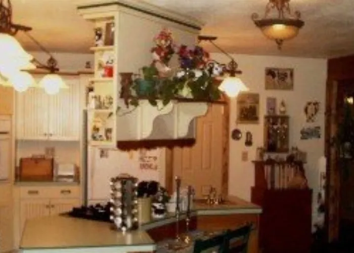Blonde Bear Bed And Breakfast