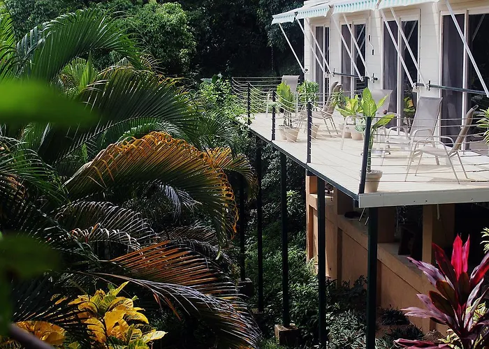 Funky Monkey Lodge