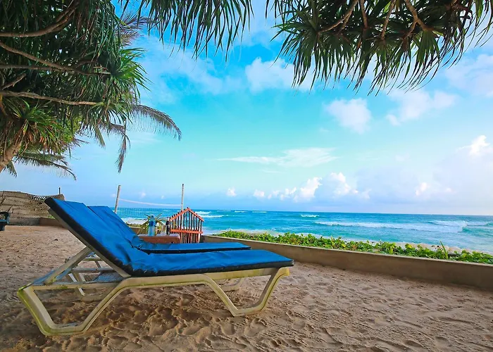 Haus am Meer Wilde Ananas