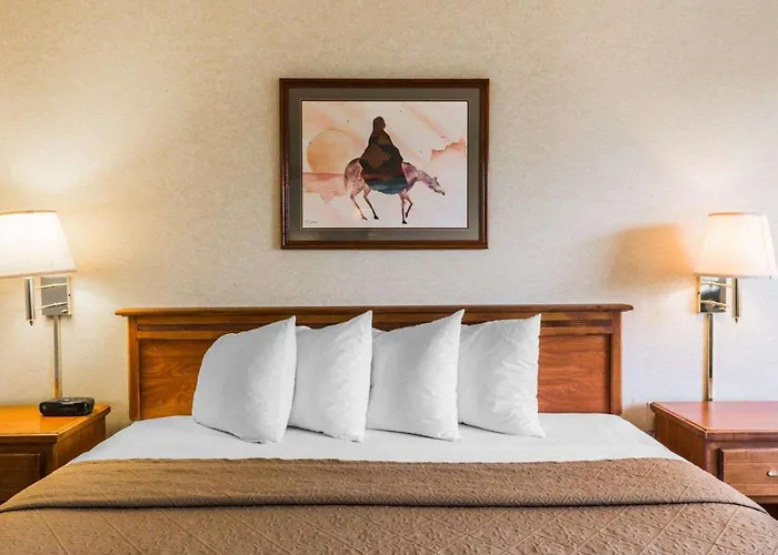 Quality Inn & Suites Montrose - Black Canyon Area