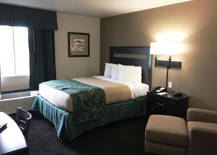 Travelodge By Wyndham Edgemont