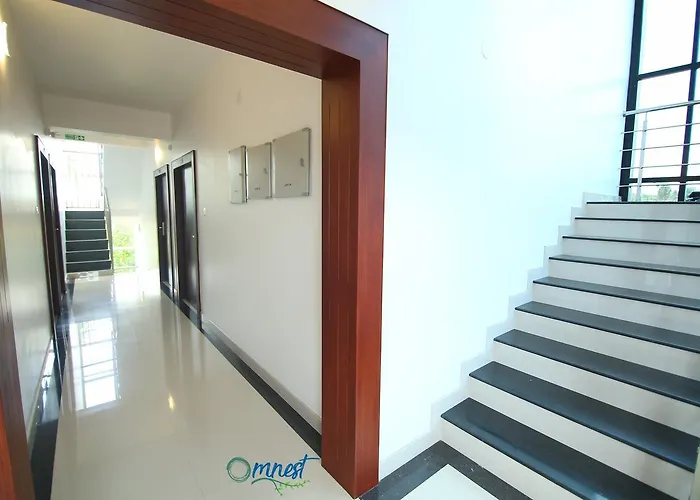Omnest