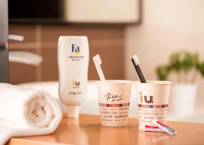 Iu Hotel Shijiazhuang Southwest Gaojiao District Hongqi Street