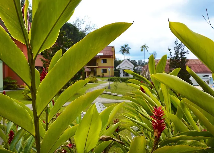 Hotel Girassol