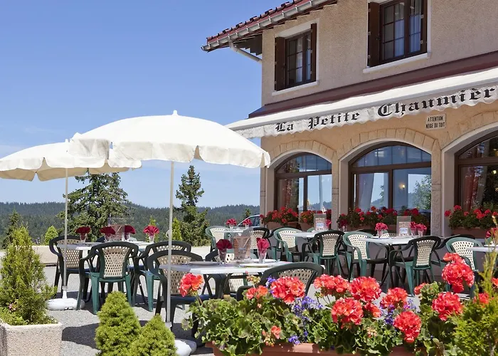 Logis Hotel La Petite Chaumiere
