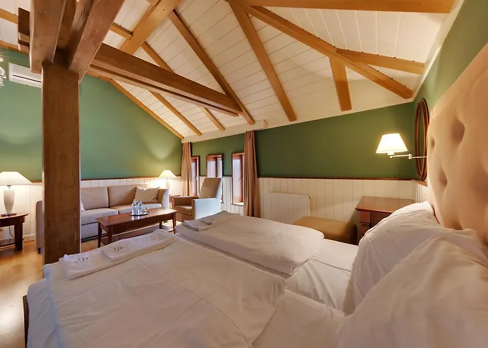 Hotel Torysa