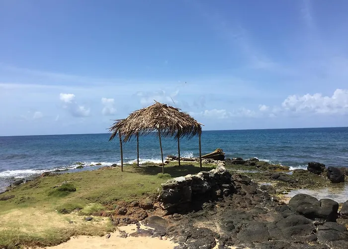 La Princesa De La Isla