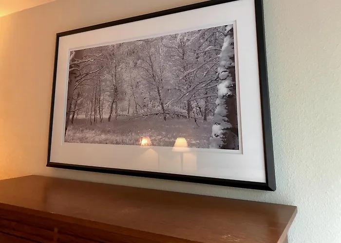 Bald Mountain Inn
