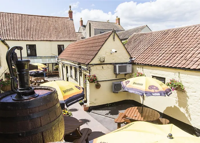 The Swan