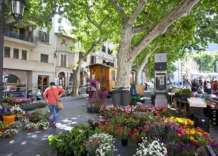 Can Moragues De Soller