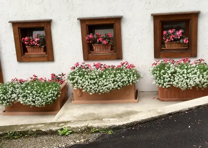 Albergo Meuble Tarandan