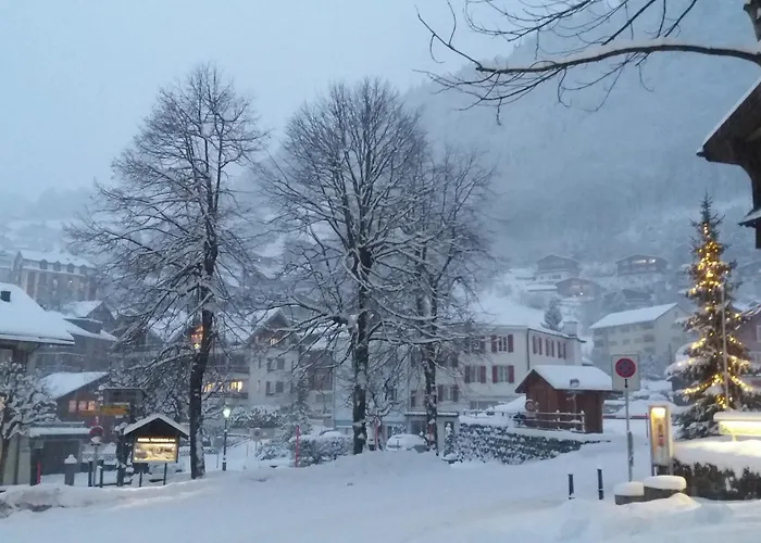 Hotel Hoheneck
