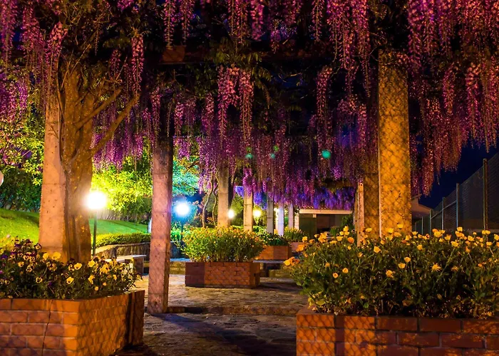 Hotel Belsol
