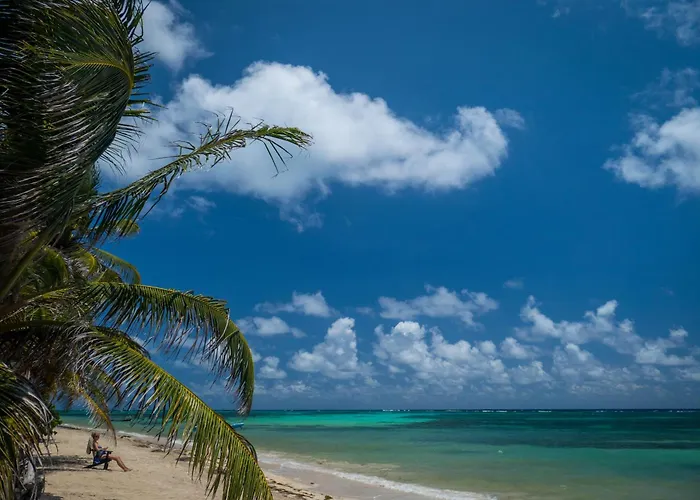 Little Corn Island Beach And Bungalow